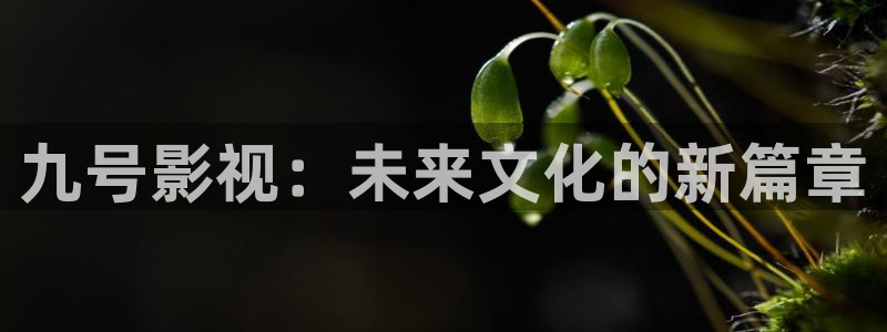 9060青苹果院